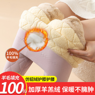 羊毛填充保暖裤女内穿秋冬季加绒加厚护膝打底秋裤羊羔绒大码棉裤