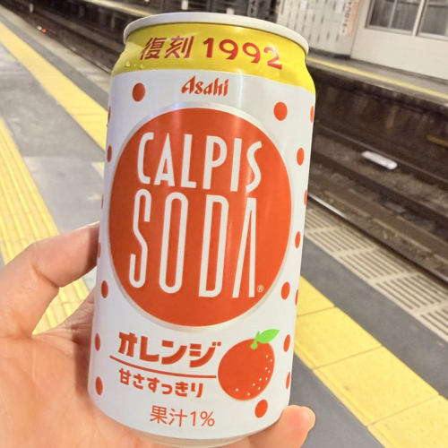 日本进口Calpis可尔必思橙子味乳酸菌碳酸饮料罐装350ml