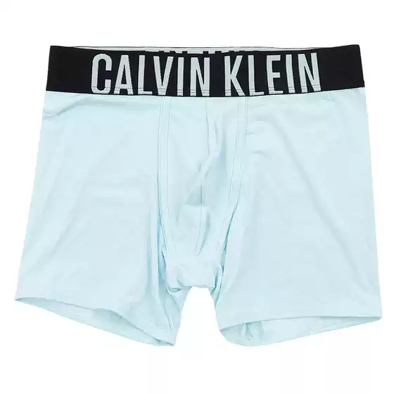 Free Gift with Purchase of 299: Ck Calvin Klein Men's Elastic Signature Wide Waistband Mid-Length Boxer Briefs Nb2594