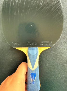 LOKI雷神锐龙5pro省队器材外置底板5木2碳粘贴地球光黄金大力神