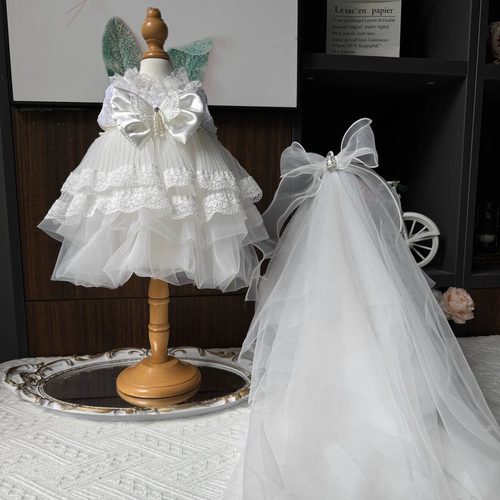 婚纱礼服公主裙DANI星黛露莉娜熊