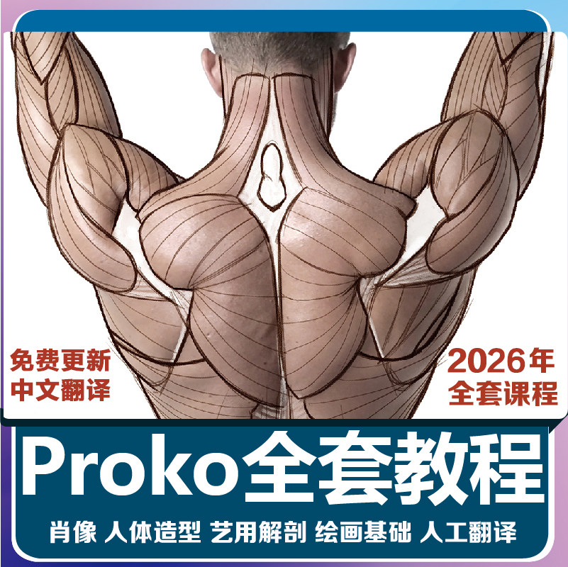 PROKO完整美术教程美术基础手绘素描结构解剖绘画视频课肥猫彩印