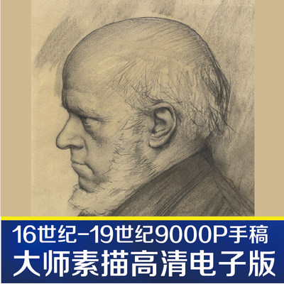 美术大师国外素描手稿速写作品临摹练习高清参考图电子版肥猫彩印