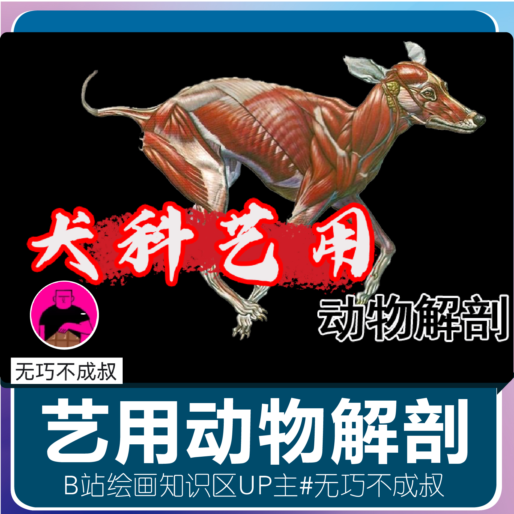 艺用动物绘画解剖雕塑建模狗犬类视频教程无巧不成叔肥猫彩印B站