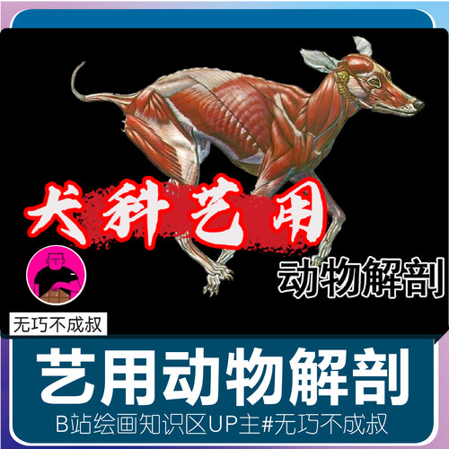 艺用动物绘画解剖雕塑建模狗犬类视频教程无巧不成叔肥猫彩印B站