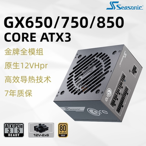 海韵电源CORE GX650W金牌全模组750W 850W电脑台式机电源ATX3