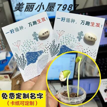 定制创意卡片种子免费刻字魔豆学生毕业定制心意可种植刀豆贺卡