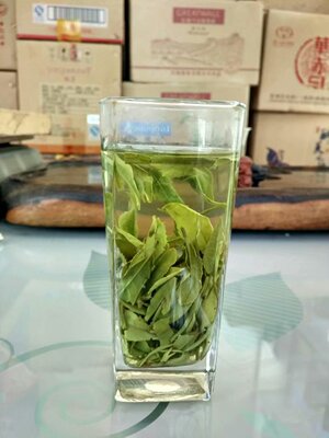 2022年新茶雅安绿茶生态绿茶素茶素毛峰春茶优质四川特产500克包