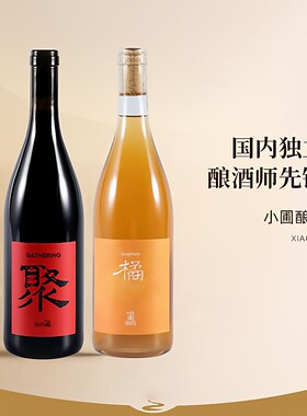 小圃酿造宁夏大橘大利橙酒干白