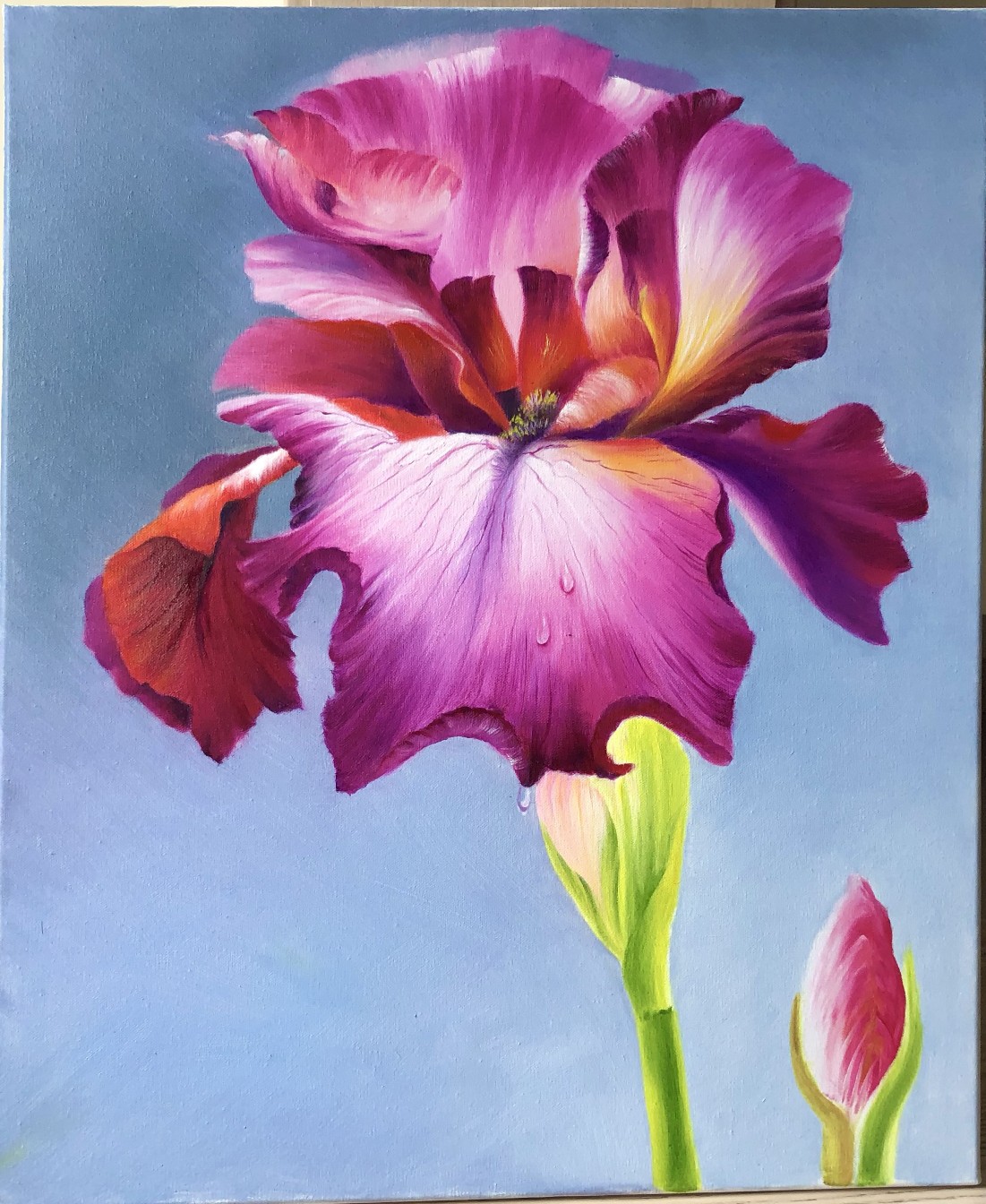 手绘油画鸢尾花特价包邮油画