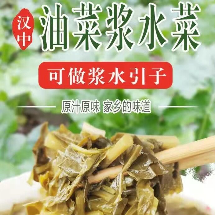 汉中浆水菜陕西特产广元土酸菜宁强浆水菜无盐酸菜油菜浆水腌菜