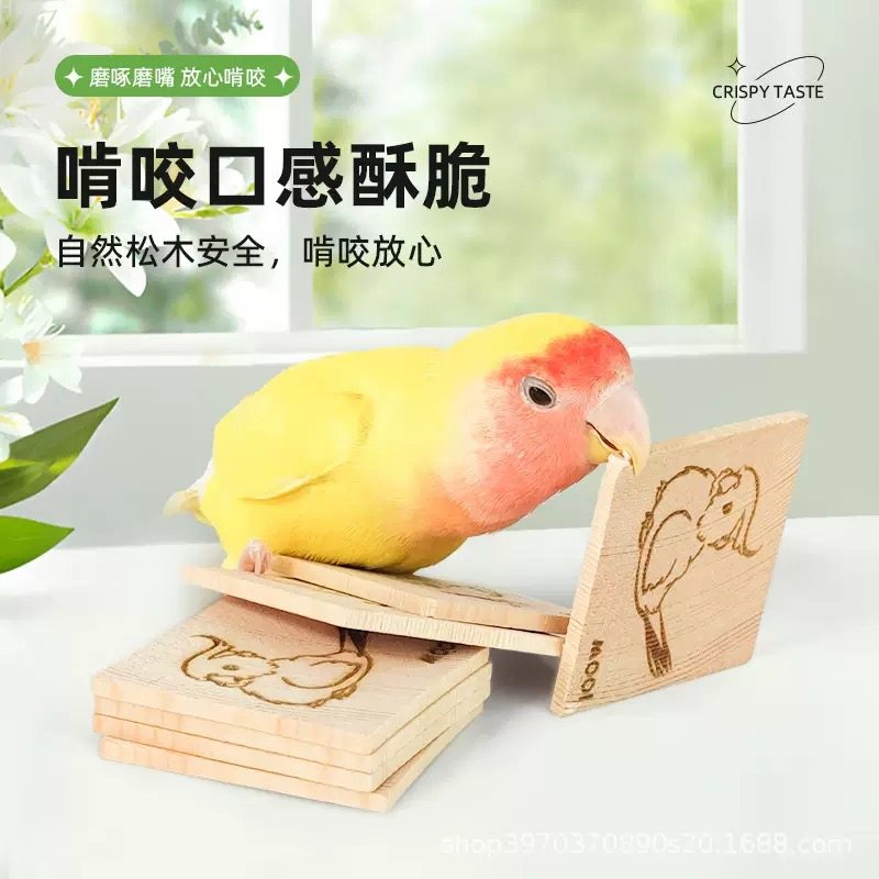 鹦鹉饼干玩具松木饼干磨嘴啃咬天然木片牡丹和尚磨嘴喙发泄解闷鸟,宠物/宠物食品及用品,鸟玩具,淘宝优惠券,粉丝福利购,淘宝优惠卷