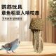 新款 章鱼稻草人啃咬串玩具玉米皮磨嘴天然无染色健康植物鸟玩用品
