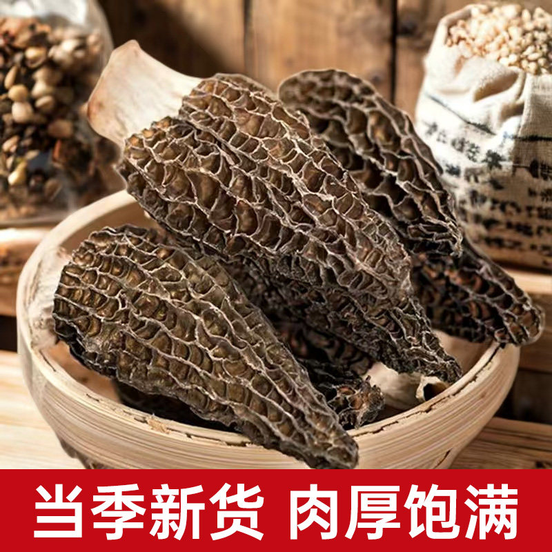 阜菌 优质羊肚菌干货新鲜羊肚蘑营养煲汤食材非野生阜平特产