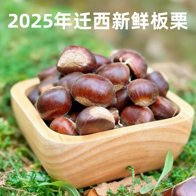 栗源 迁西板栗2025年新鲜板栗燕山板栗生栗子毛栗子油栗大栗子