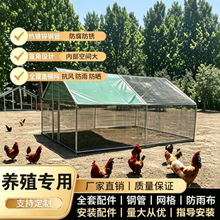 大型养殖鸡棚户外防雨棚大号家禽鸡笼子孔雀笼高级稳固搭建遮雨