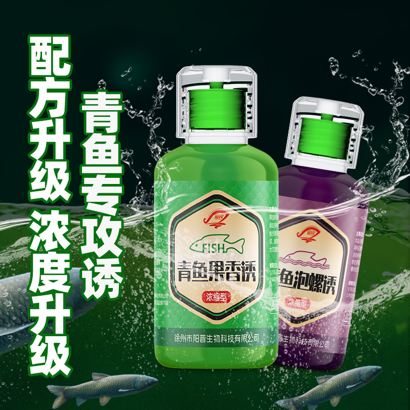 青鱼钓鱼小药黑坑大物泡螺丝野钓