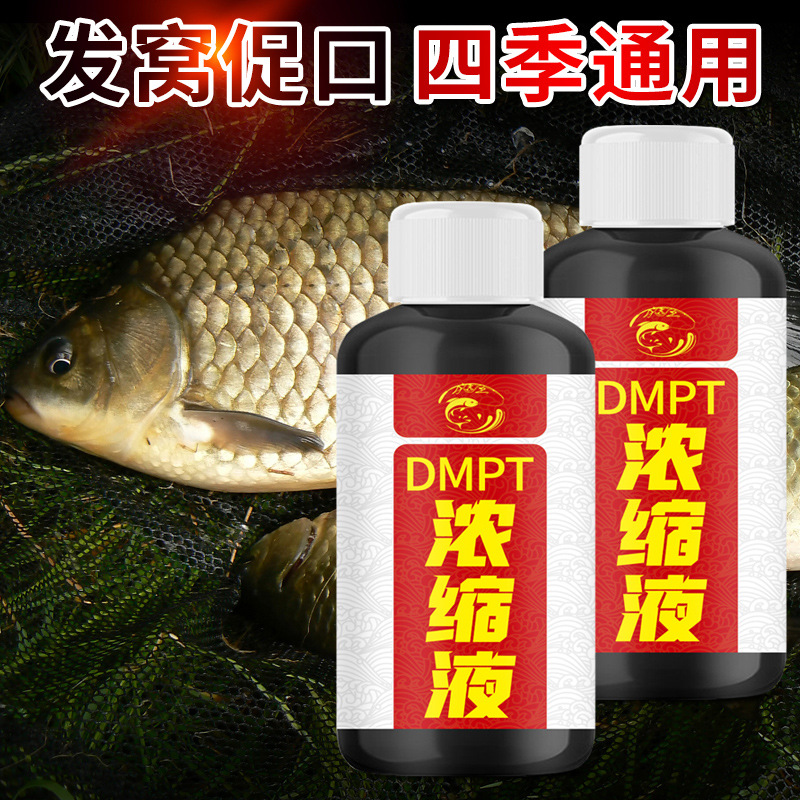 DMP浓缩液鱼咬啃石诱鱼添加钓鱼