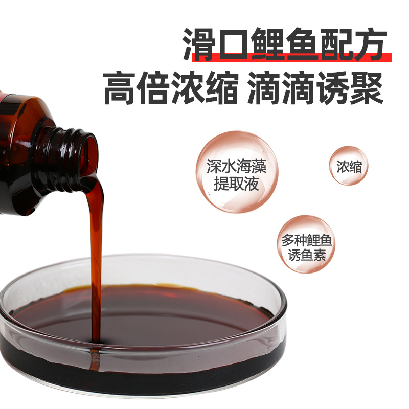 鲤鱼小药黑坑野钓专用滑口回锅诱