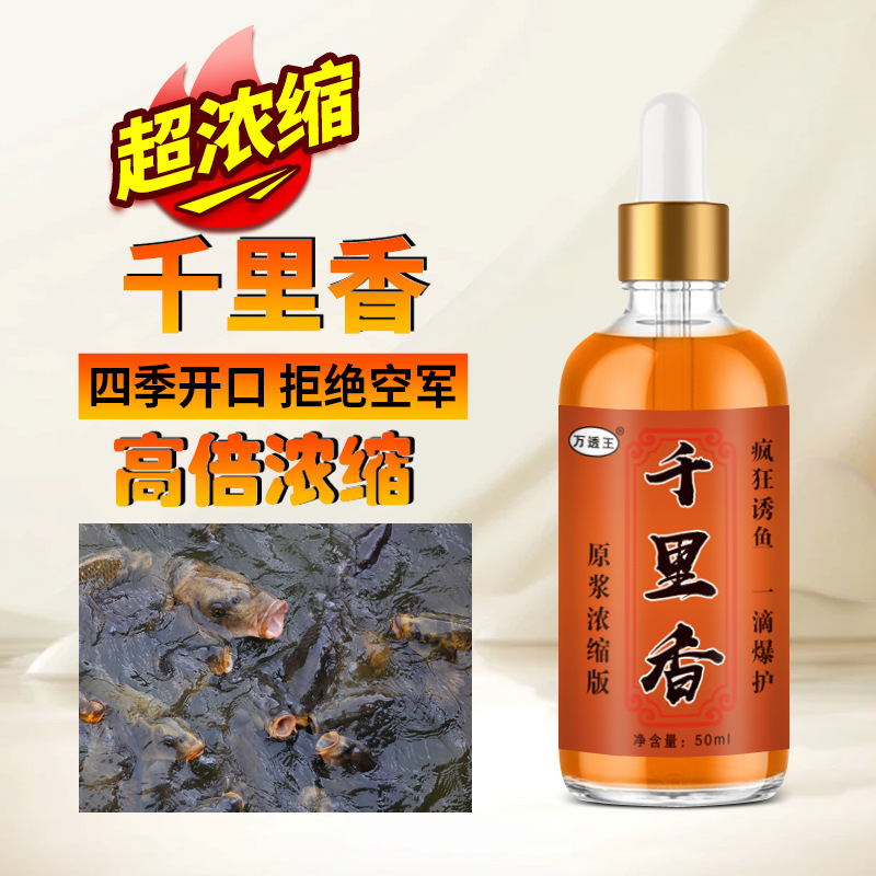 千里香钓鱼小药竞技黑坑野钓诱鱼