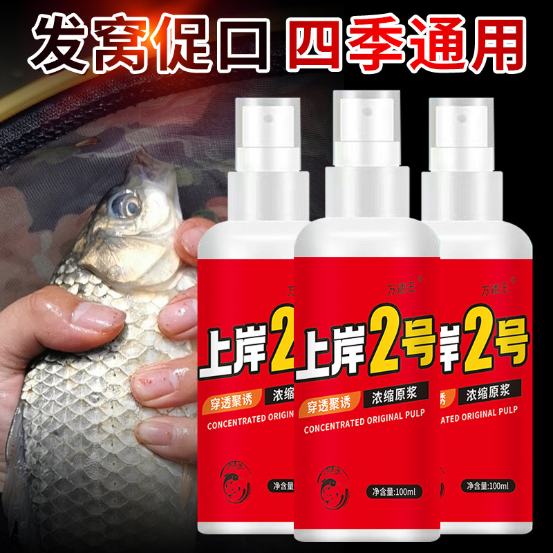 上岸2号钓鱼小药垂钓添加剂鲫鲢鳙鲤青草鳊鱼饵料窝料食喷剂钓王 - 封面