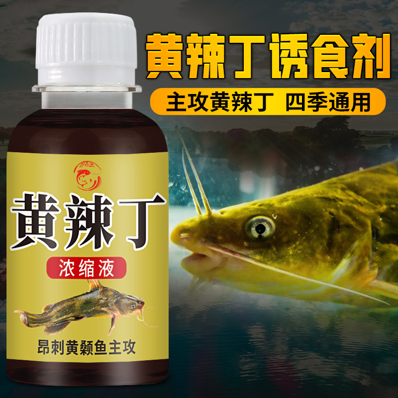 黄辣丁钓鱼小药黑坑野钓昂刺添加