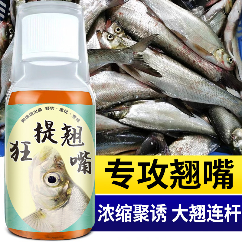 狂体翘嘴钓鱼小药四季野钓黑坑大