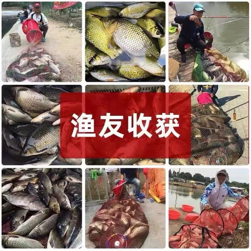 国良千里香黑坑野钓窝料钓鱼小药