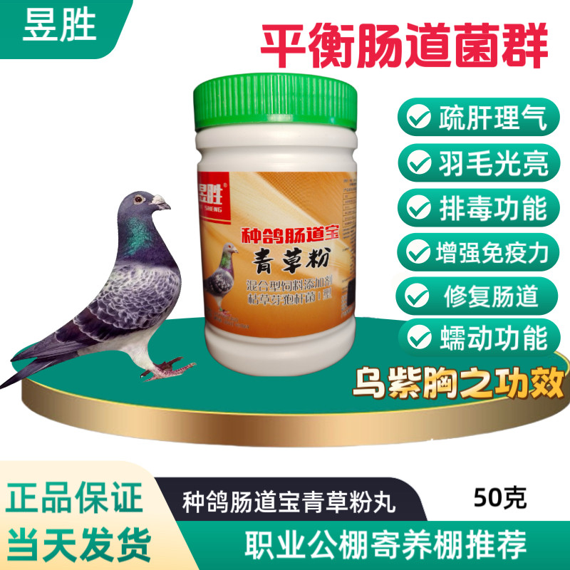 昱胜 种鸽肠道宝青草粉丸疏肝理气排毒功强免疫力 蠕动功能乌紫胸