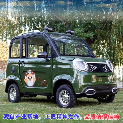 时尚新款两门四座载客拉客全封闭家用代步电动车四轮车成人电瓶车