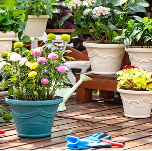 爱丽思 圆形花盆树脂波纹花盆  荷兰花园艺满268元赠盲盒