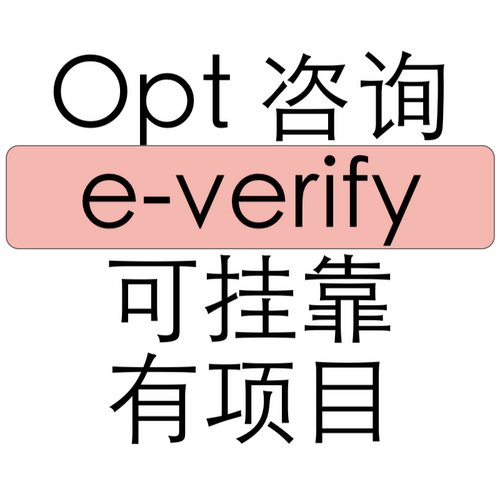 opt 咨询 可挂靠 e-verify 纽约 加州