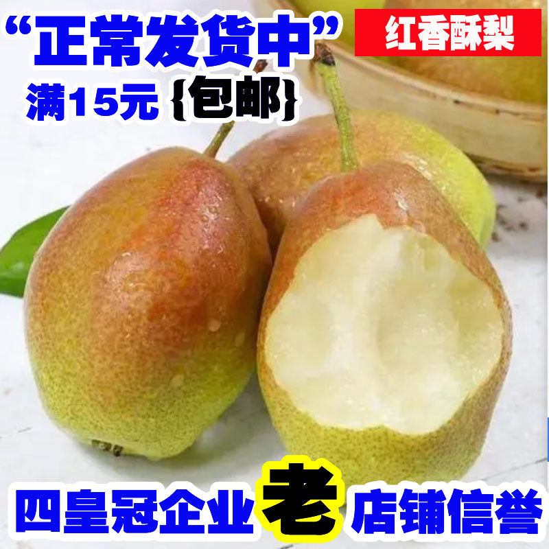 嫁接梨树苗早酥红梨香秋月梨特大南北方种植品种盆栽地栽当年结果