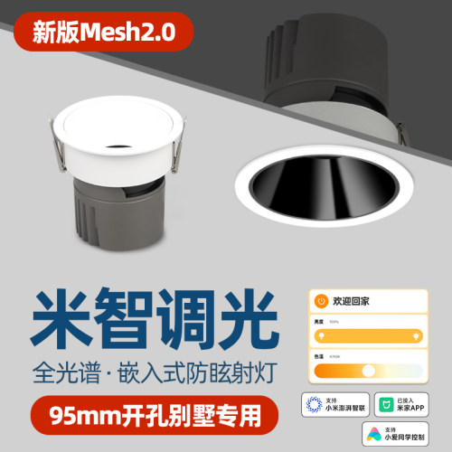 开孔95mm大尺寸筒灯调光调色射灯
