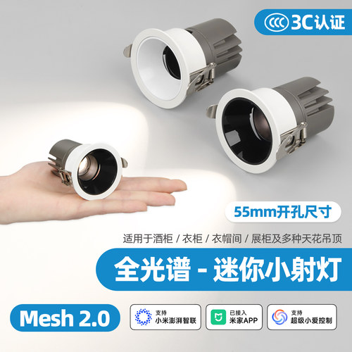 55mm开孔小射灯智能2.0调光调色