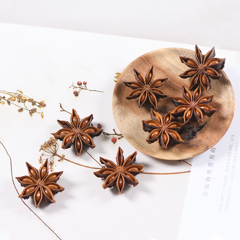 干花果实果壳创意植物手作材料