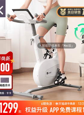 Keep动感单车mini/家用健身器材减肥静音室内运动小型健身自行车