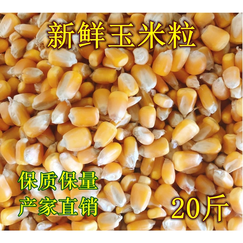 2025粮农家20斤装玉米粒鸽子粮酿酒鸡鸭鹅等饲料打窝喂鱼19省包邮