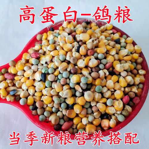 新搭配鸽粮高蛋白鸽粮信鸽饲料肉鸽种鸽赛鸽5斤10斤包邮