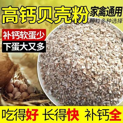 厂家直销高钙贝壳粉蛤蜊壳粉防下软蛋补钙喂鸽子喂鸡饲料粗细粗细