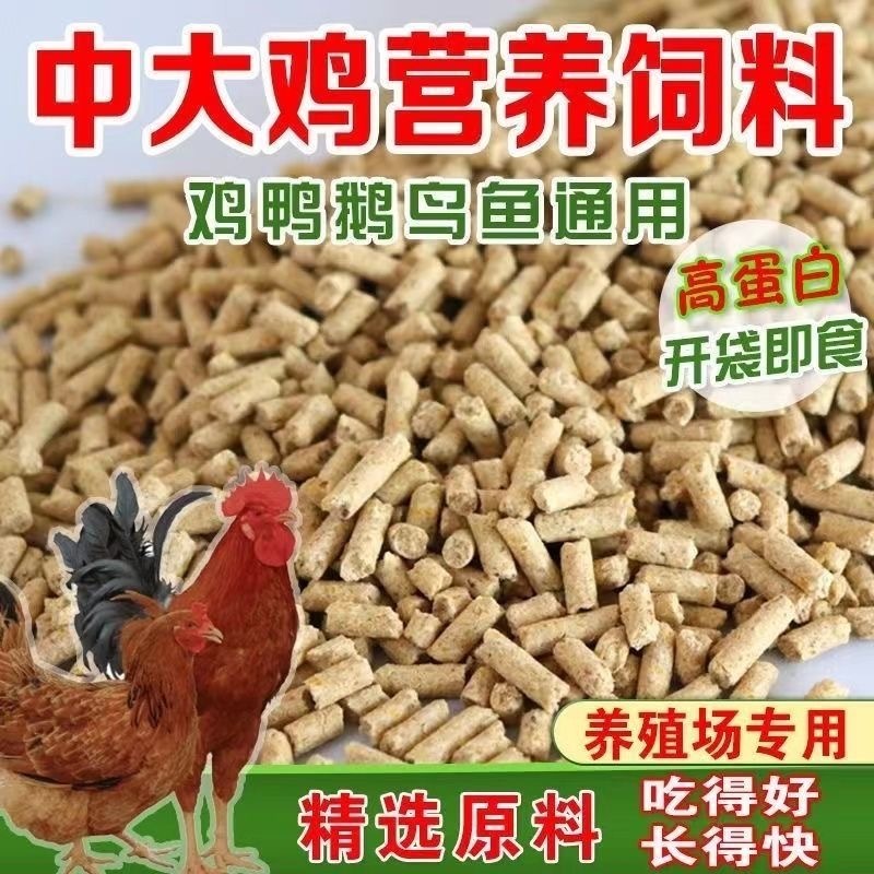 厂家直销成年鸡饲料大颗粒全价料大鸭大鹅孔雀猪野钓通用清仓包邮