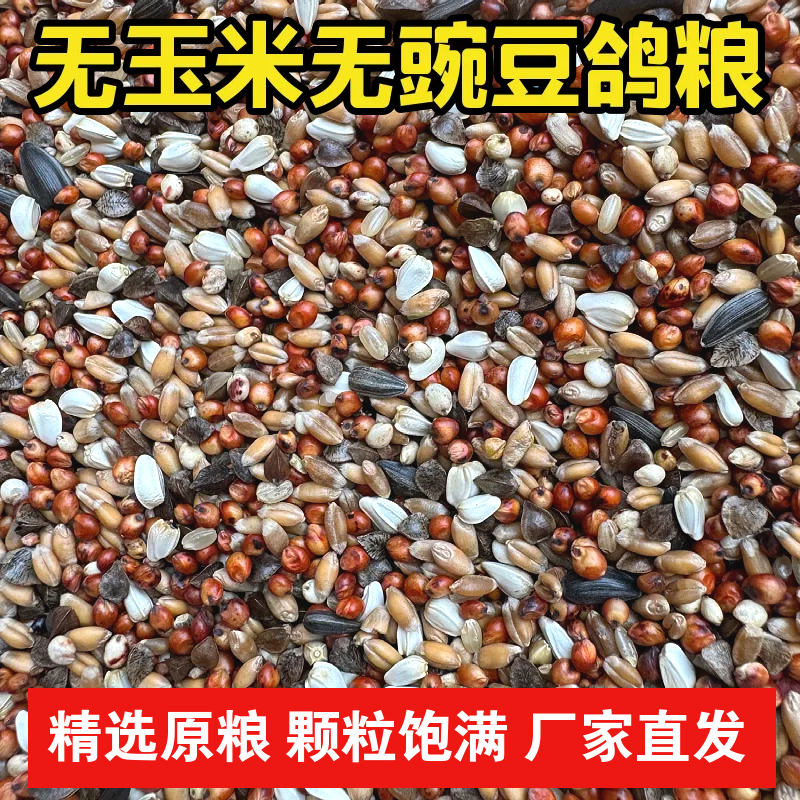 鸽粮无玉米无豌豆鸽子饲料鹦鹉喷窝小鸽子粮食幼鸽鸽子料