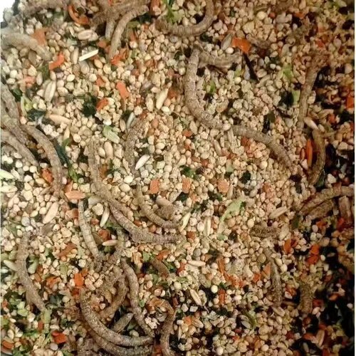 芦丁鸡专用粮食产蛋宠物卢丁鸡饲料正大鹌鹑幼雏小鸡开口颗粒900S
