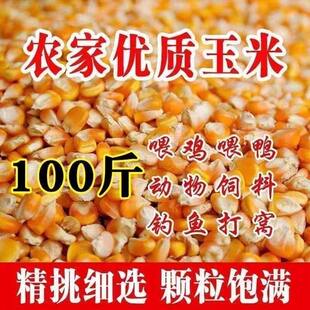 新东北粮食25年精品玉米猪、鸡、鸭、鹅、鸽子的优质饲料大颗粒波