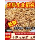 新鲜稻谷空壳稻壳谷壳发酵酿酒花草营养土枕头填充芦丁鸡养鸡垫料