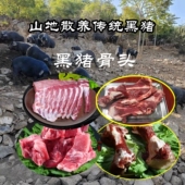 大排骨新鲜山地散养跑山黑猪排新鲜现杀农家土猪排骨生肋排大棒骨