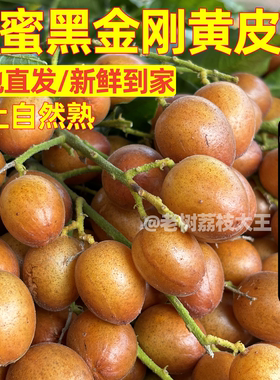 广西香蜜黑金刚黄皮果新鲜现摘现发当季灵山黑黄皮酸甜水果顺丰