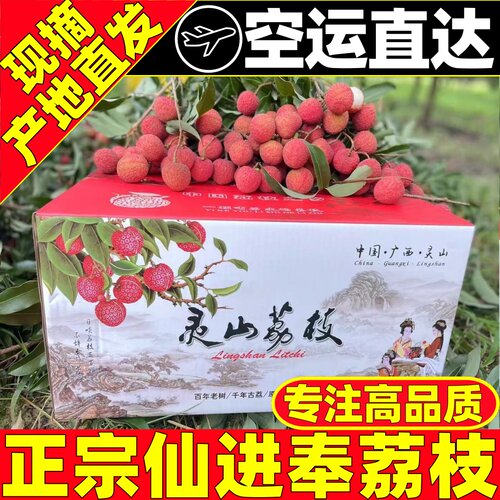 仙进奉荔枝新鲜现摘现发灵山荔枝