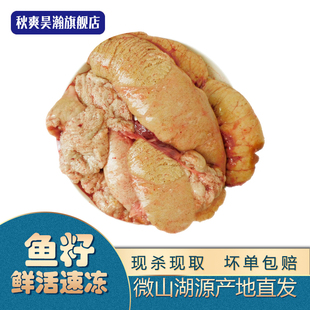 微山湖新鲜鱼籽3斤装鱼子杂鱼泡鱼白混合冷冻现杀鲤鱼鱼内脏商用