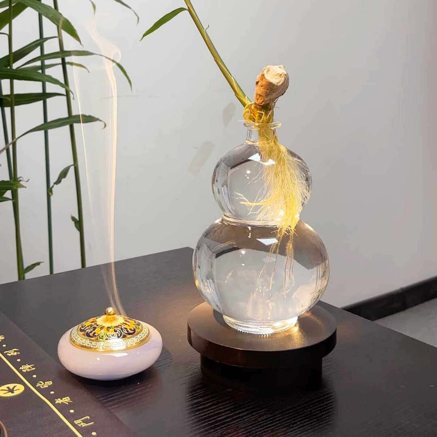 【福禄】玻璃葫芦花瓶禄根生姜盆栽水培花盆器皿绿植摆件招财纳福